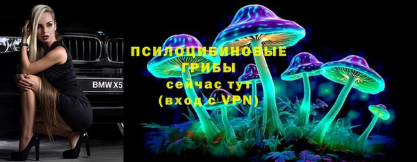 эйфоретик Баксан