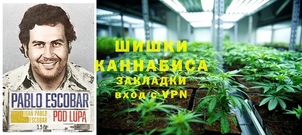 эйфоретик Баксан