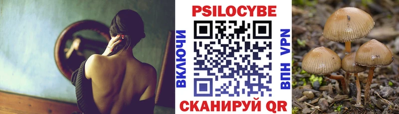 цены   Устюжна  Псилоцибиновые грибы Psilocybine cubensis 