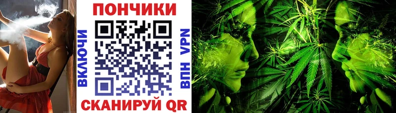 купить закладку  Устюжна  МАРИХУАНА SATIVA & INDICA 